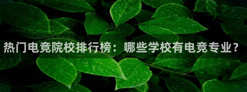 易游电竞：热门电竞院校排行榜：哪些学校有电竞专业？