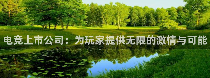 易游电竞官网：电竞上市公司：为玩家提供无限的激情与可能