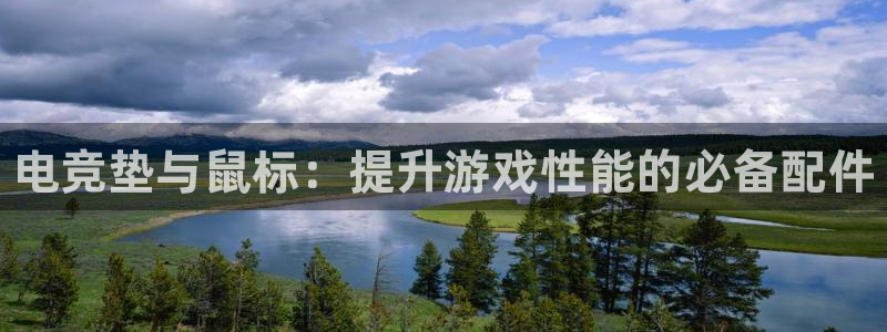 易游电竞官网：电竞垫与鼠标：提升游戏性能的必备配件