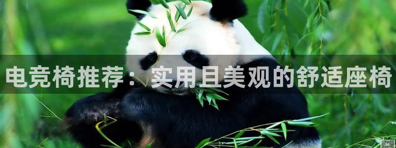 易游电竞官网：电竞椅推荐：实用且美观的舒适座椅