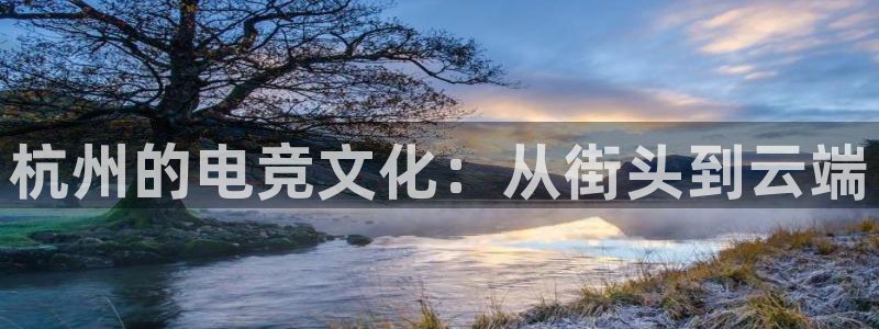 易游电竞官网：杭州的电竞文化：从街头到云端