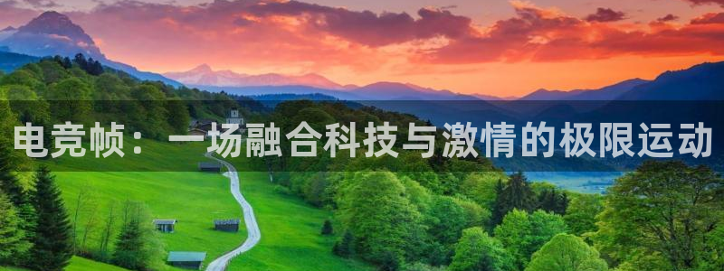 易游电竞官网：电竞帧：一场融合科技与激情的极限运动