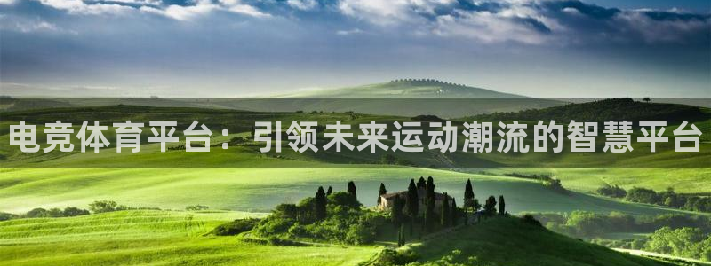 易游电竞官网：电竞体育平台：引领未来运动潮流的智慧平台