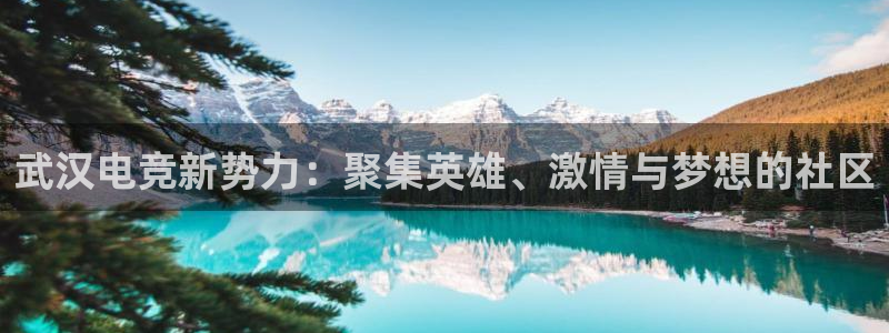 易游电竞官网：武汉电竞新势力：聚集英雄、激情与梦想的社区
