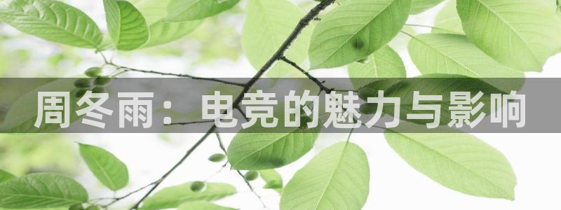 易游电竞：周冬雨：电竞的魅力与影响