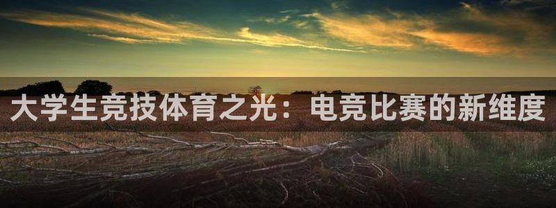易游电竞：大学生竞技体育之光：电竞比赛的新维度