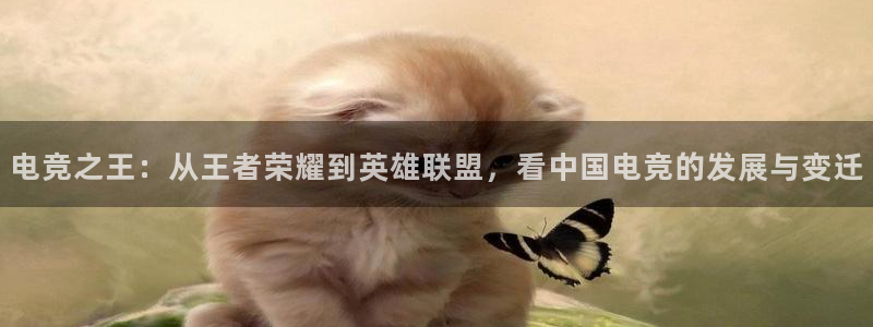 易游电竞官网：电竞之王：从王者荣耀到英雄联盟，看中国电竞的发展与变迁