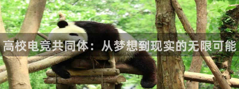 易游电竞：高校电竞共同体：从梦想到现实的无限可能