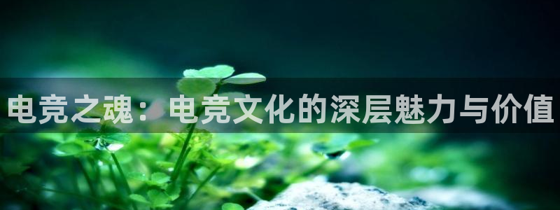 易游电竞官网：电竞之魂：电竞文化的深层魅力与价值