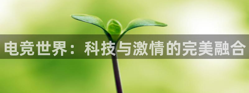易游电竞官网：电竞世界：科技与激情的完美融合